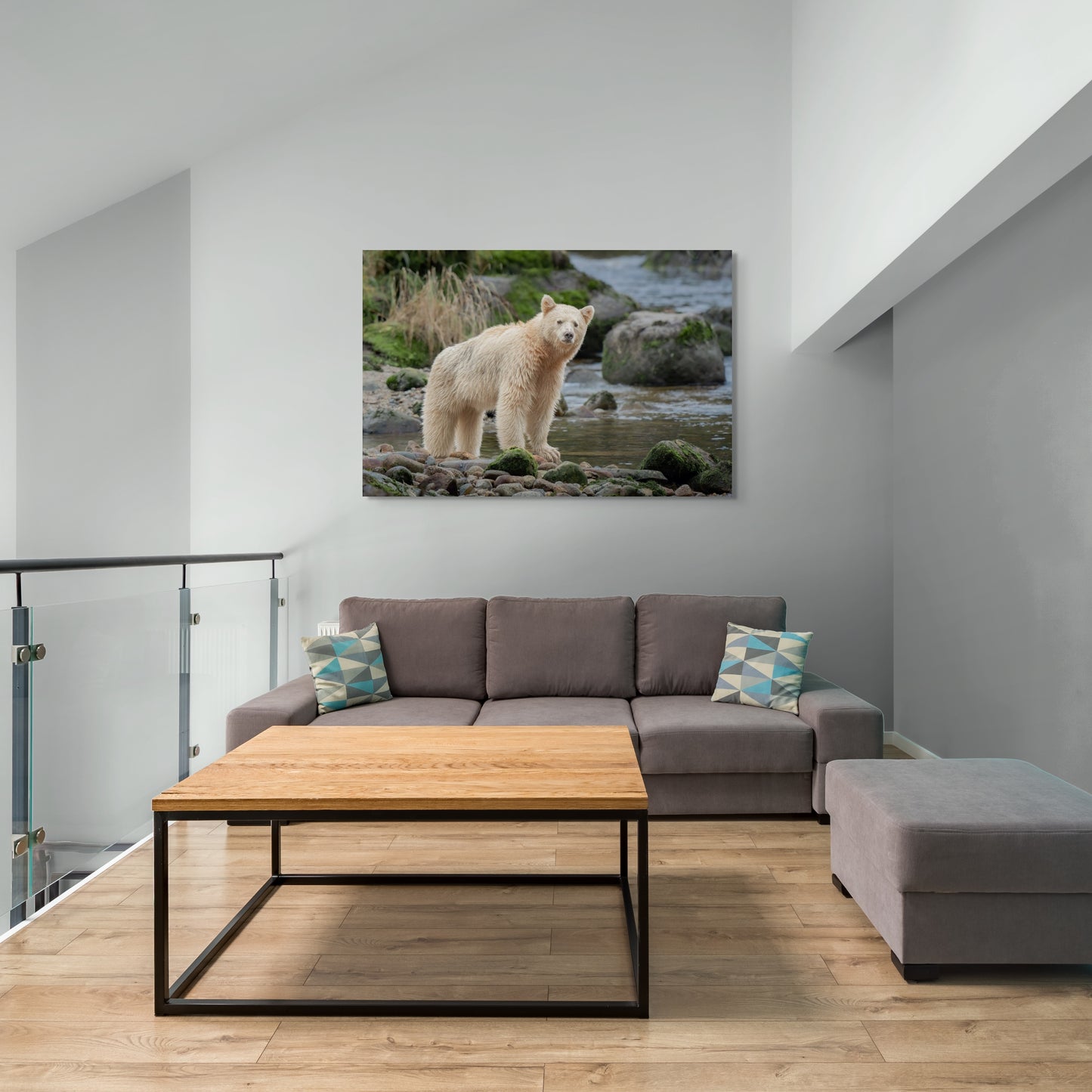 Spirit Bear Scans For Competition
