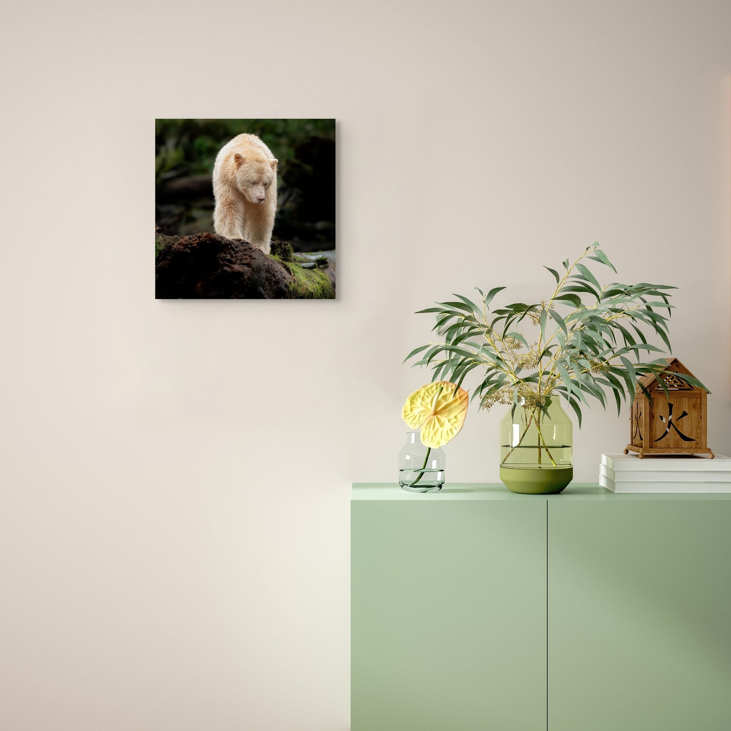 Spirit Bear on a High Perch
