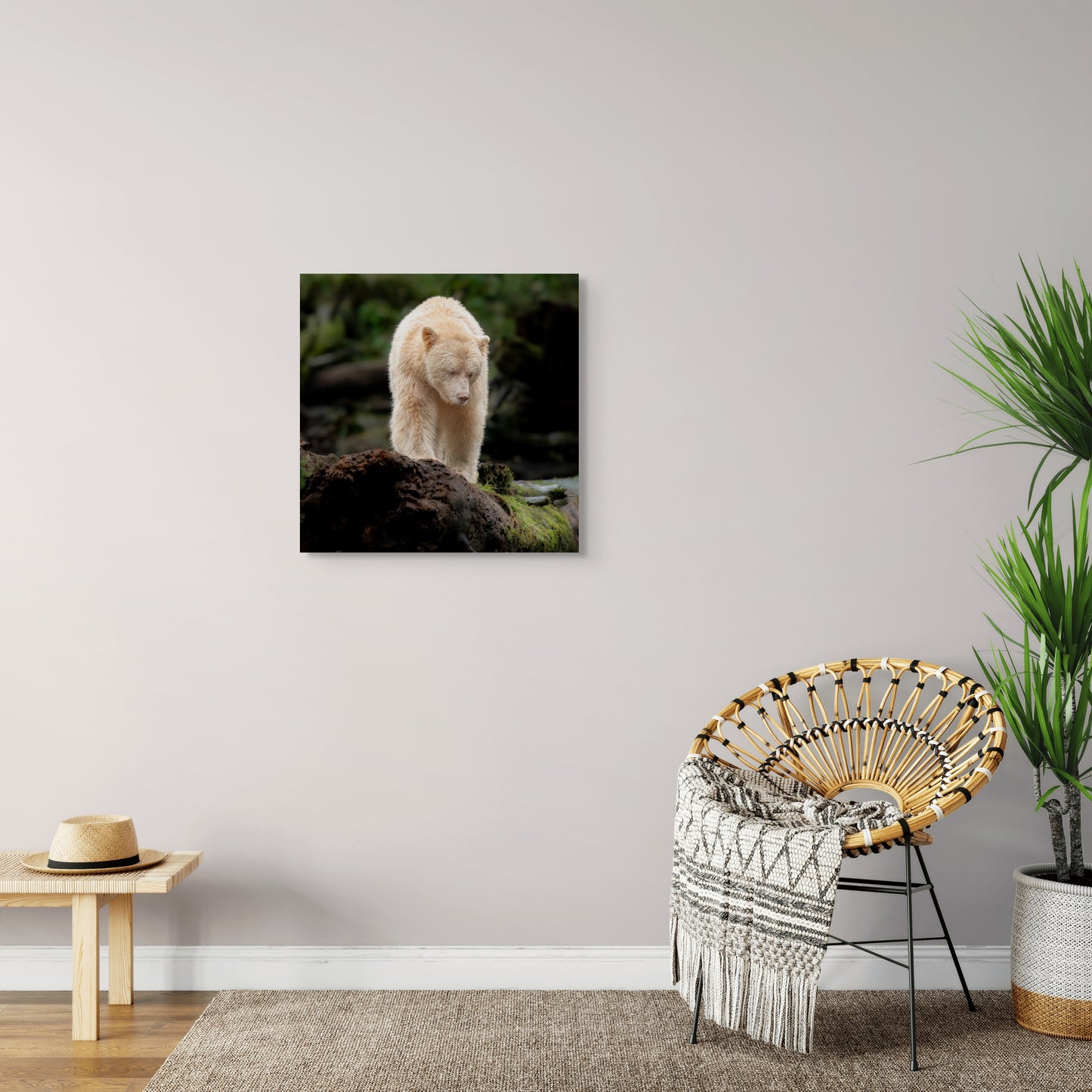 Spirit Bear on a High Perch