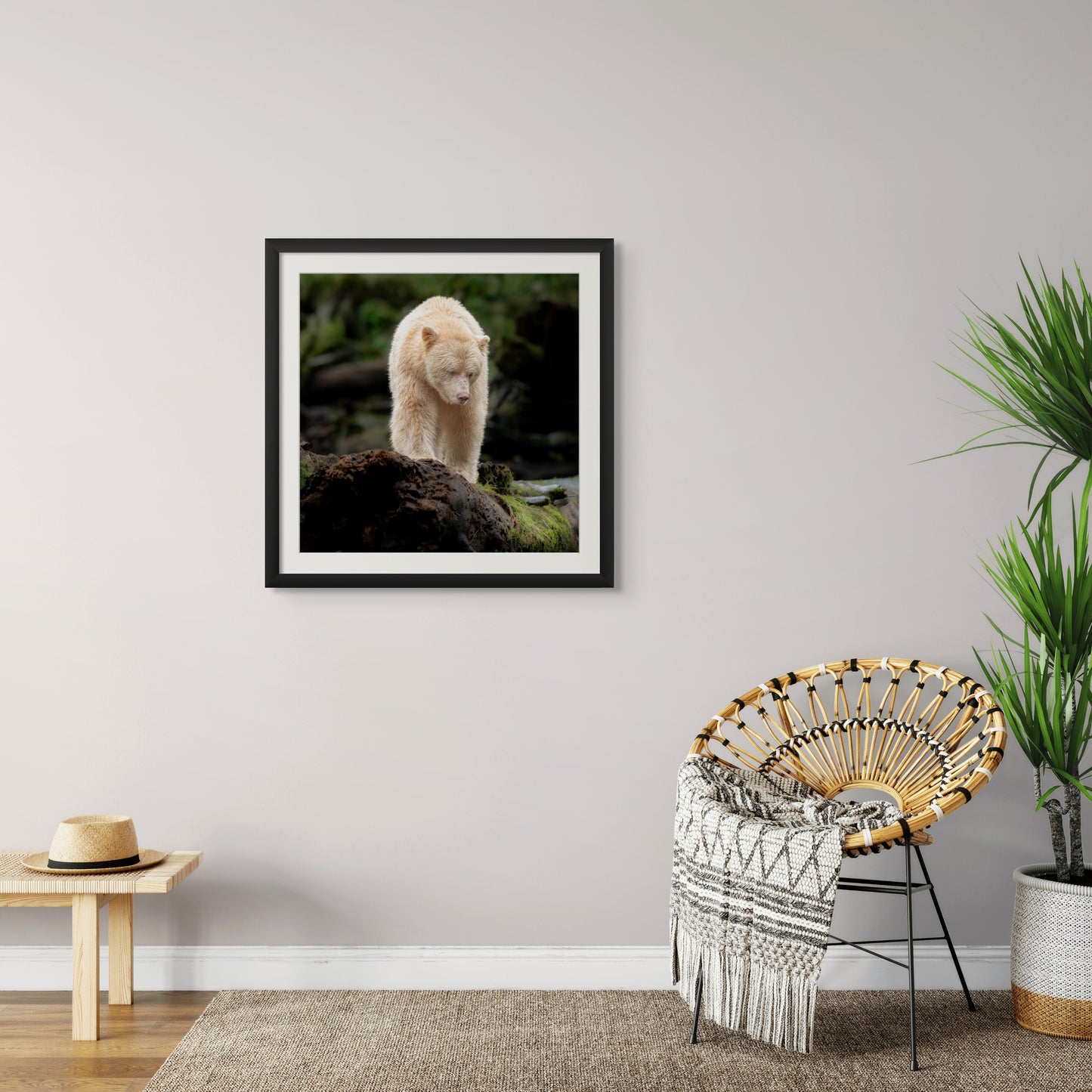 Spirit Bear on a High Perch