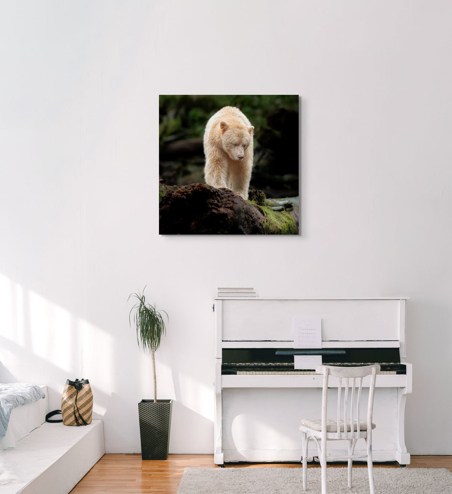 Spirit Bear on a High Perch