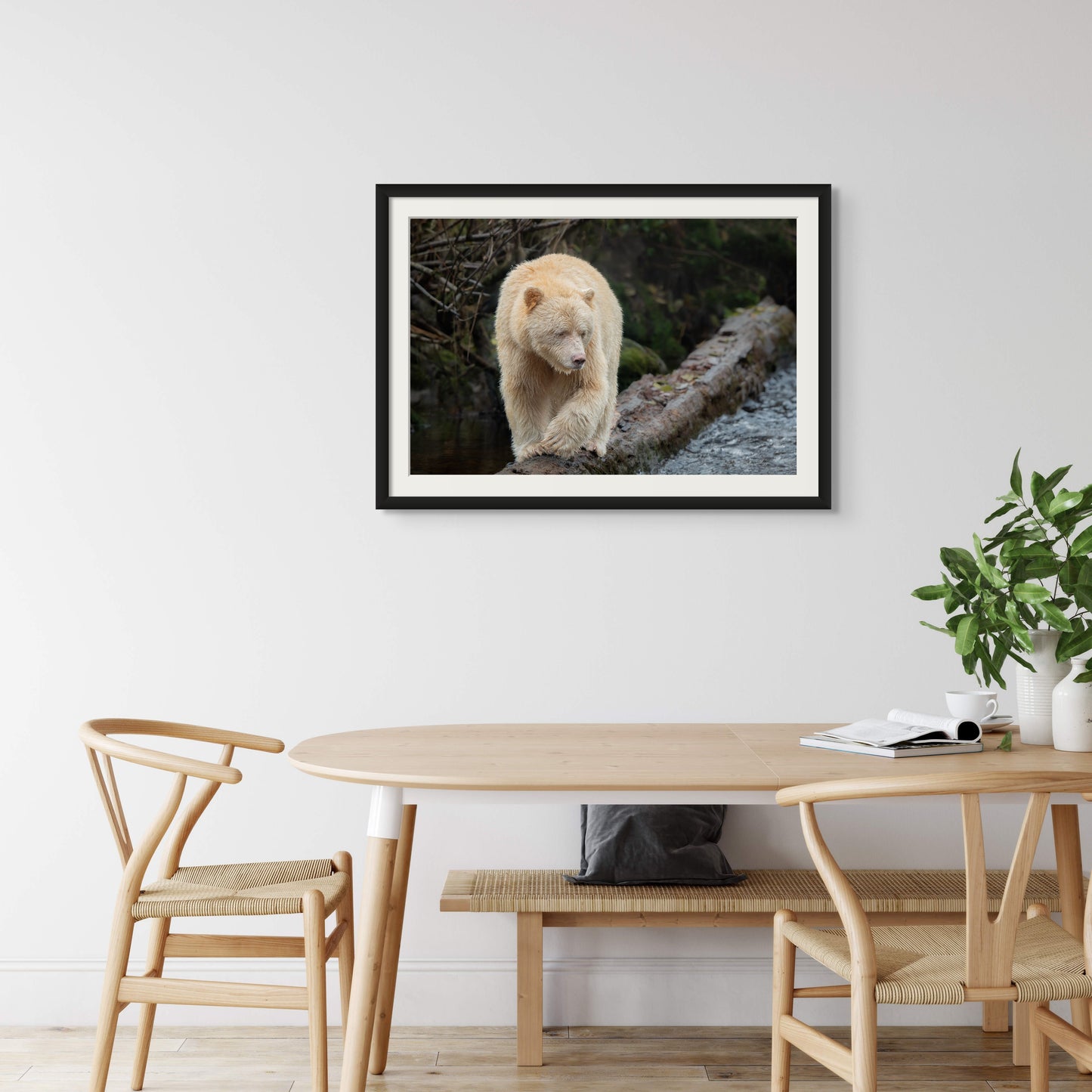 Spirit Bear Springboard