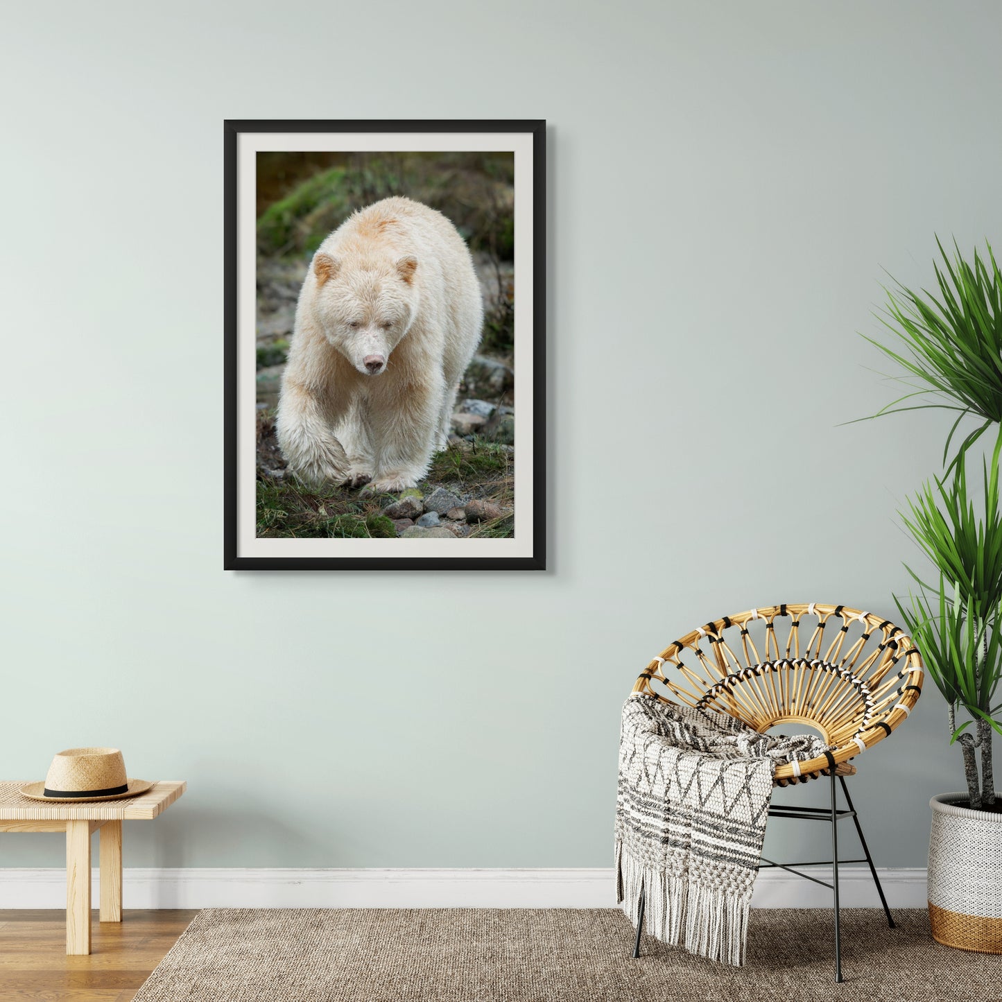 Spirit Bear Rocky Shoreline Portrait