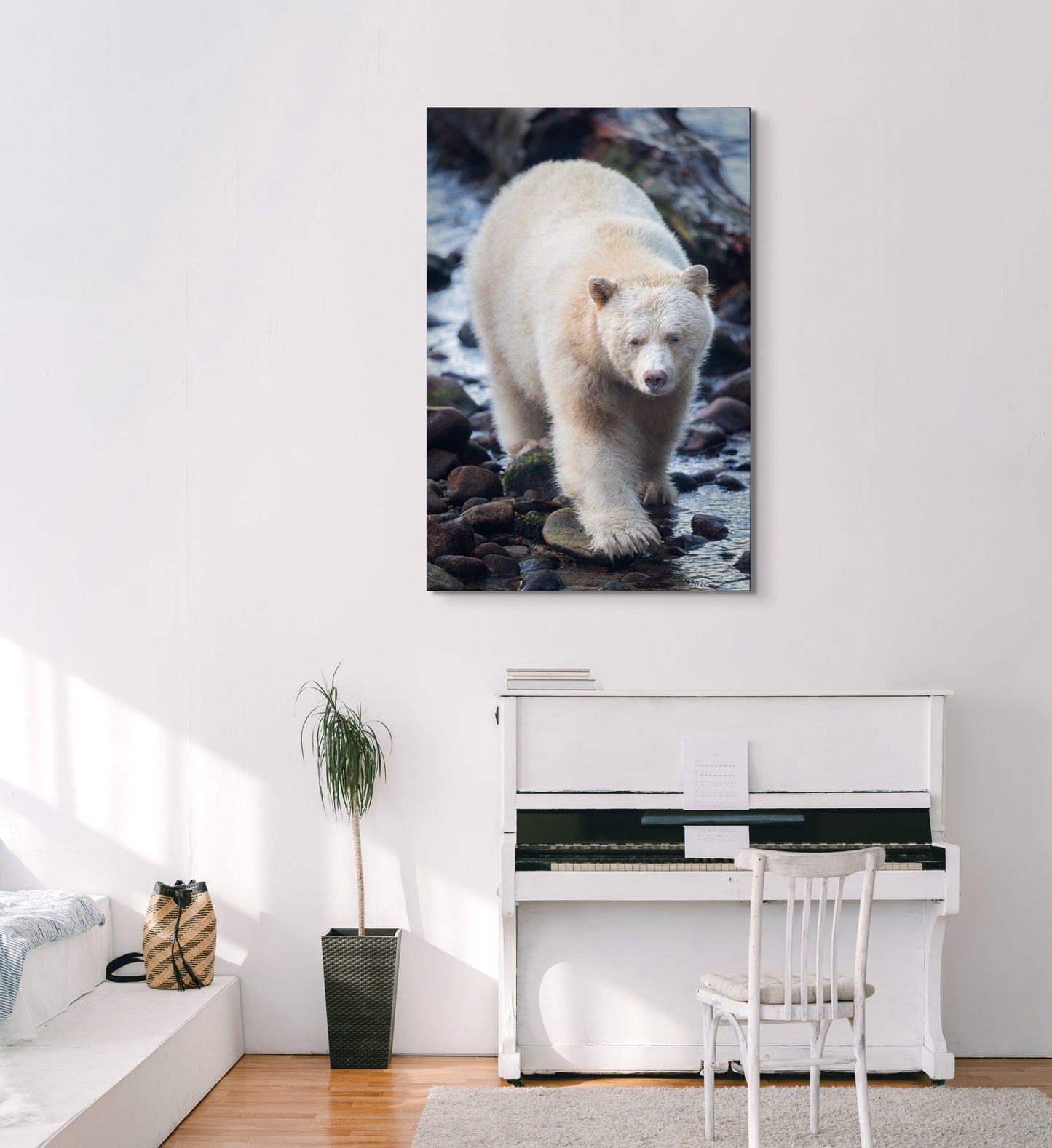 Streamside Spirit Bear