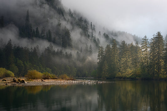 A Bend in the River