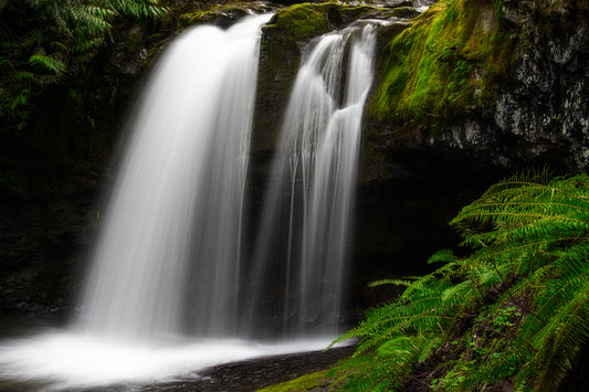 Waterfall Grotto and Ferns