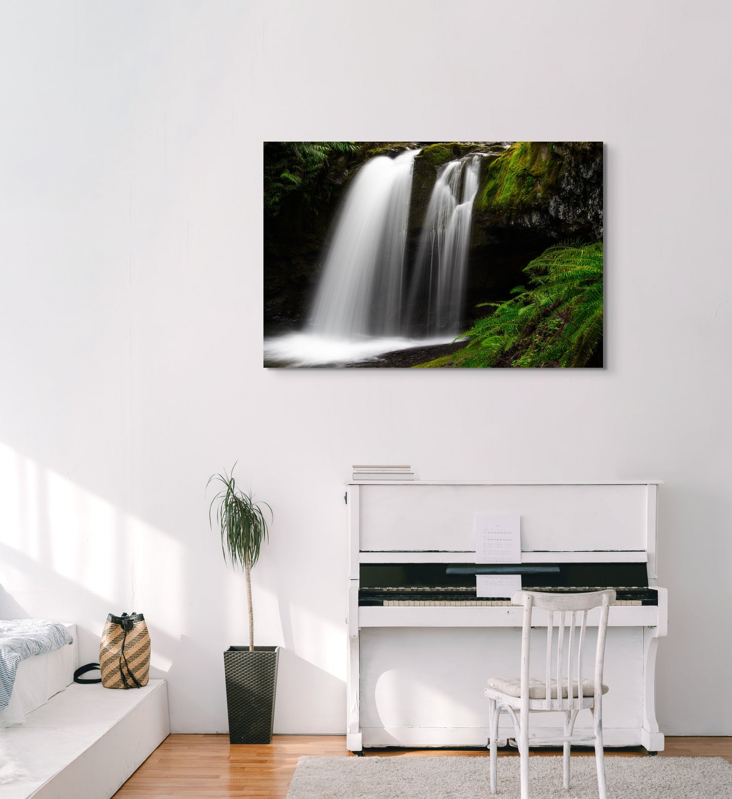 Waterfall Grotto and Ferns