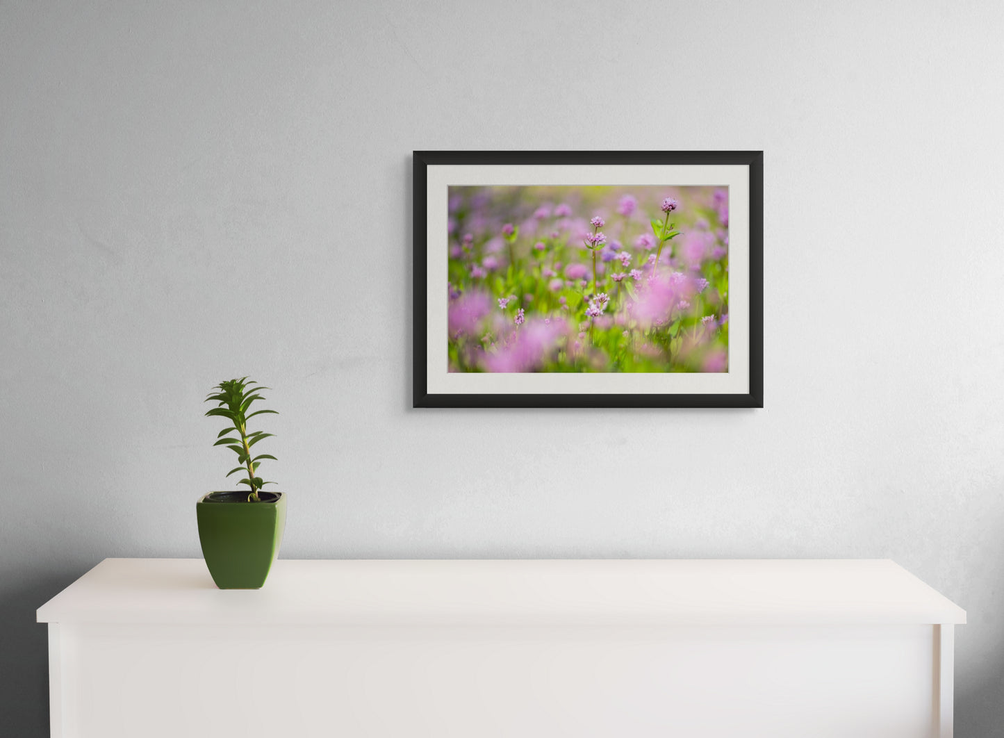 Springtime Wildflower Meadow